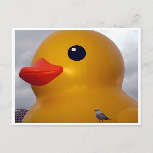 eend briefkaart (Voorkant)