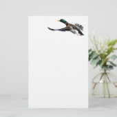 eend briefpapier (Staand voorkant)