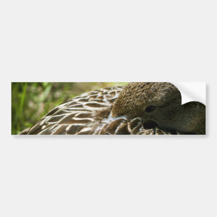 Eend Bumpersticker