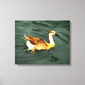 Eend Canvas Afdruk (Voorkant)