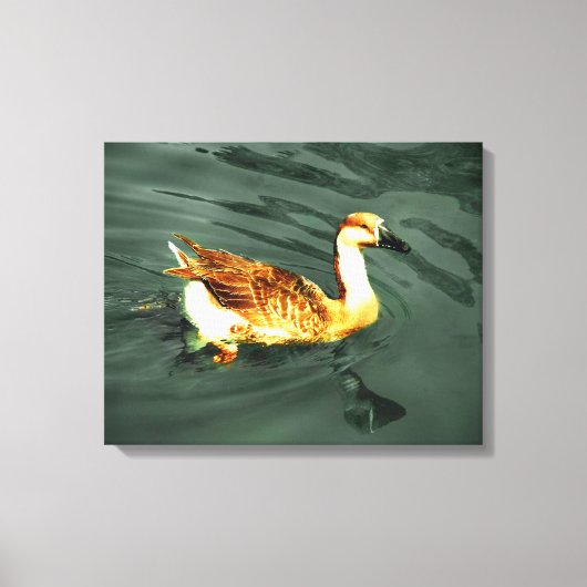 Eend Canvas Afdruk (Voorkant)