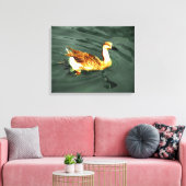 Eend Canvas Afdruk (Insitu (Woonkamer))