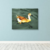 Eend Canvas Afdruk (Insitu (Houten vloer))