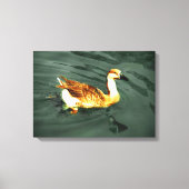 Eend Canvas Afdruk (Voorkant)