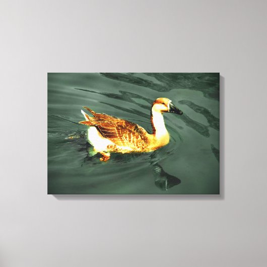 Eend Canvas Afdruk (Voorkant)