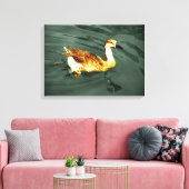 Eend Canvas Afdruk (Insitu (Woonkamer))