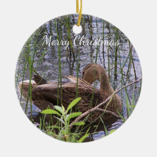 Eend die zich in het riet wast keramisch ornament (Voorkant)