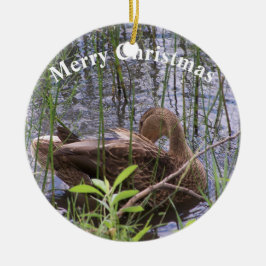 Eend die zich in het riet wast keramisch ornament