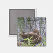Eend die zich in het riet wast magneet (Voorkant / Achterkant)