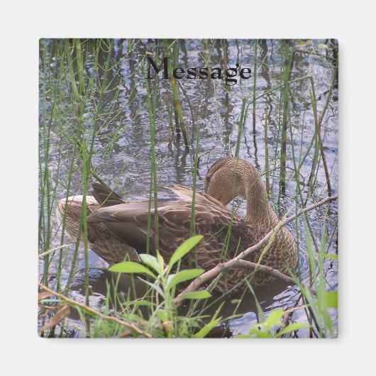 Eend die zich in het riet wast magneet (Voorkant)