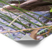 Eend die zich in het riet wast poster (Hoek)