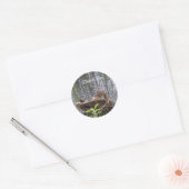Eend die zich in het riet wast ronde sticker (Envelop)