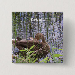 Eend die zich in het riet wast vierkante button 5,1 cm