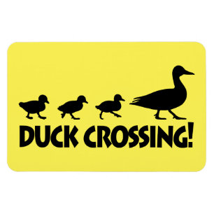 Eend en eenden: Duck Crossing Magneet