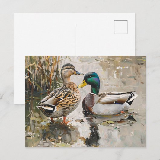 Eend en Mallard Wildlife Schilderij Briefkaart (Voorkant / Achterkant)