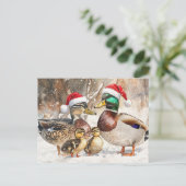 Eend Familie Briefkaart (Staand voorkant)