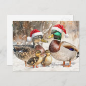 Eend Familie Briefkaart (Voorkant / Achterkant)
