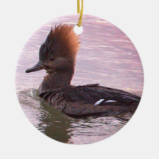 Eend Foto Ornament (Voorkant)