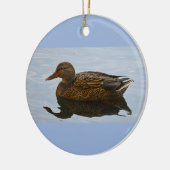 Eend Foto Ornament (Links)