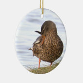 Eend Foto Ornament  (Rechts)