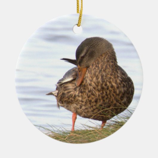 Eend Foto Ornament  (Voorkant)