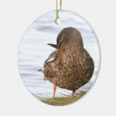 Eend Foto Ornament  (Links)