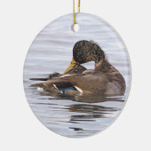 Eend Foto Ornament (Links)