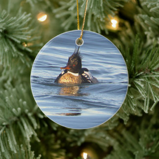 Eend Foto Ornament