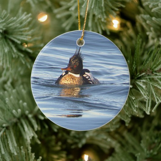 Eend Foto Ornament (Boom)