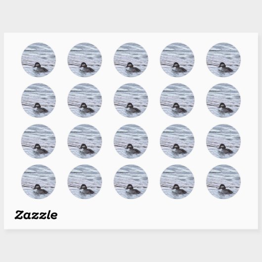 Eend Foto Stickers (Vel)