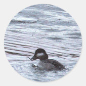 Eend Foto Stickers (Voorkant)