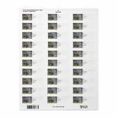 Eend in het riet etiket (Full Sheet)