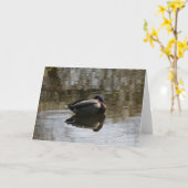 Eend Kaart (Gele Bloem)