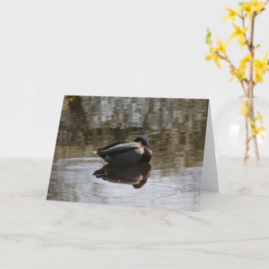 Eend Kaart (Gele Bloem)