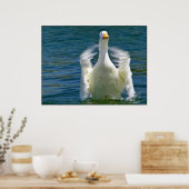 Eend klappend print (Keuken)
