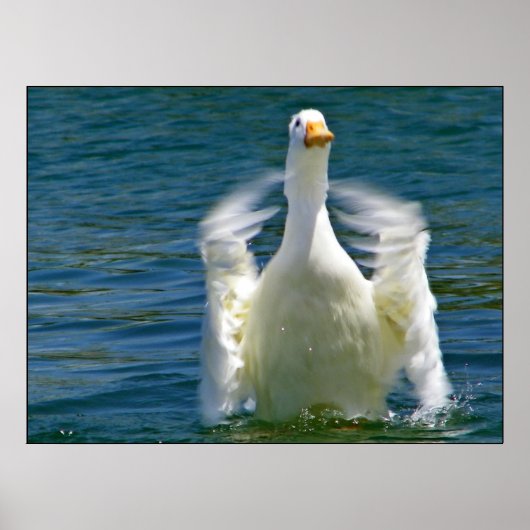Eend klappend print (Voorkant)