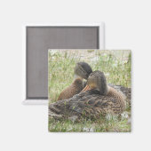 Eend liefde -BFF Magneet (Voorkant / Achterkant)
