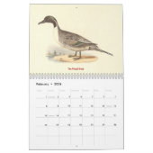 Eend Litho's - van Birds of New York - Kalender (Feb 2026)