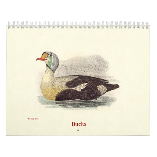 Eend Litho's - van Birds of New York - Kalender (Hoes)