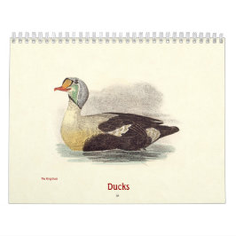 Eend Litho's - van Birds of New York - Kalender