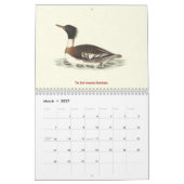Eend Litho's - van Birds of New York - Kalender (Mar 2027)