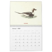 Eend Litho's - van Birds of New York - Kalender (Jan 2027)