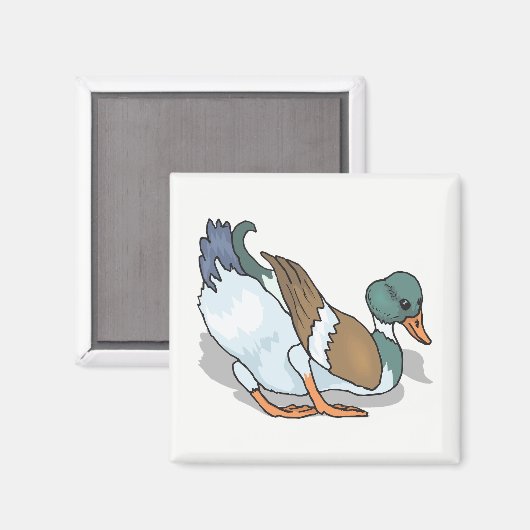 Eend Magneet (Voorkant / Achterkant)