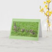 Eend met Eendjes Kaart (Gele Bloem)