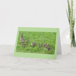 Eend met Eendjes Kaart