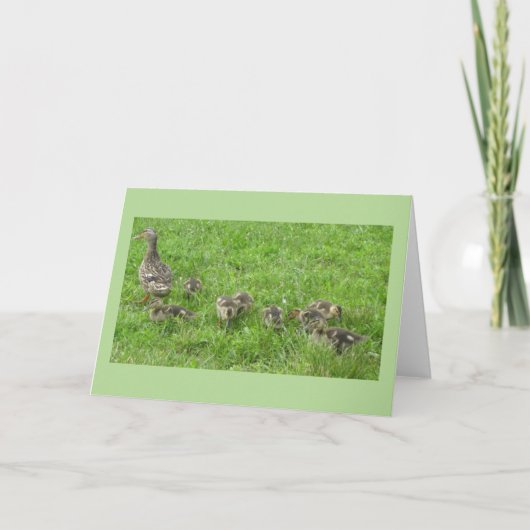 Eend met Eendjes Kaart (Voorkant)