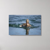 Eend met open bek canvas afdruk (Voorkant)