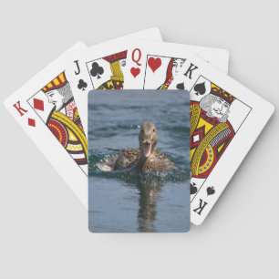 Eend met open bek                   pokerkaarten