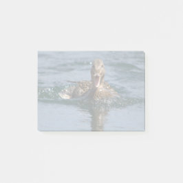 Eend met open bek                  post-it® notes