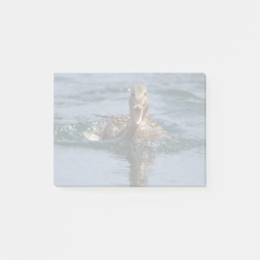 Eend met open bek                  post-it® notes (Voorkant)